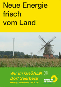 Grünes Wahlprogramm 2009 für Saerbeck