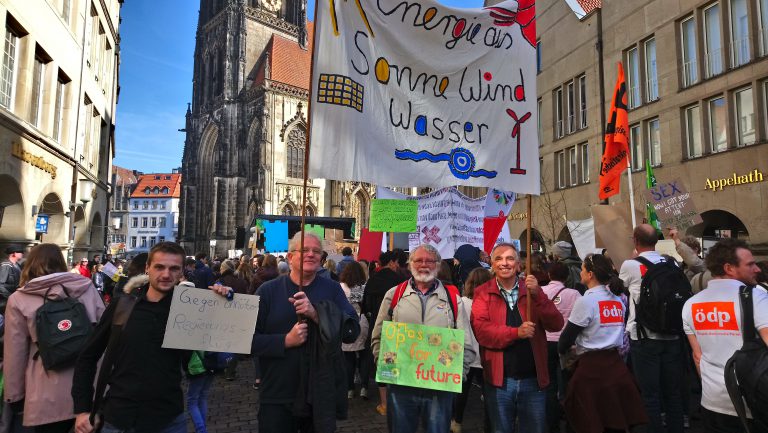 Saerbecker Grüne bei der Fridays for Future Großdemo in Münster am 20.9.2019